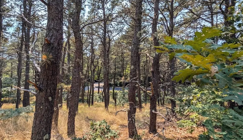 Truro, MA 02666,4 Sandpiper Road