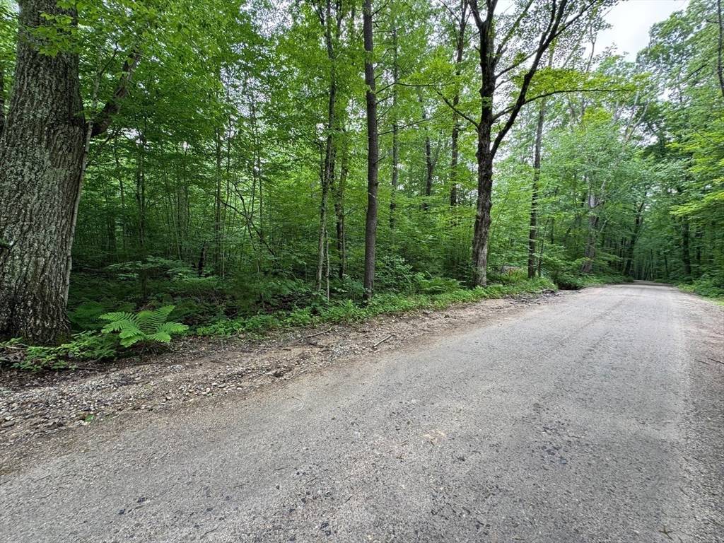 Hardwick, MA 01031,0 Patrill Hollow Rd