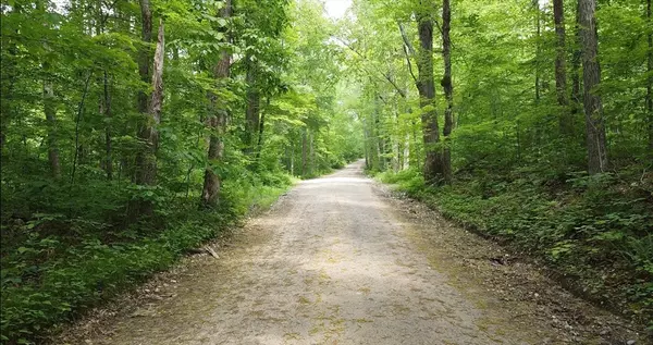 Hardwick, MA 01031,0 Patrill Hollow Rd