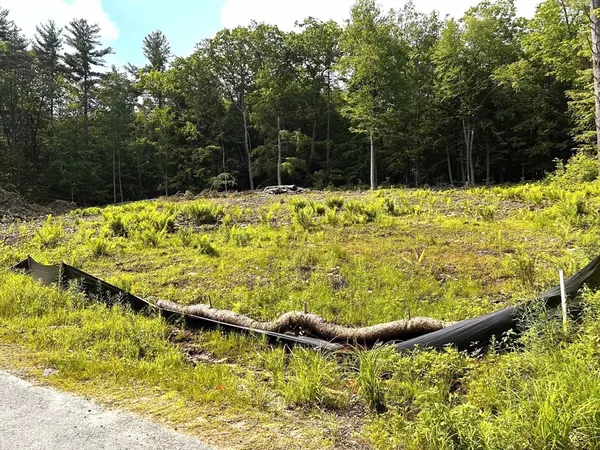 Ashburnham, MA 01468,lots W. Shore Drive