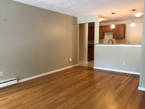 Arlington, MA 02474,32 Hamilton Rd #205