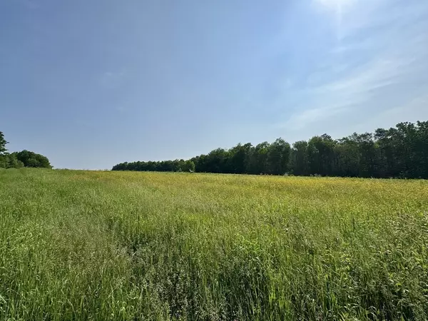 Hawley, MA 01339,292 East Hawley Road