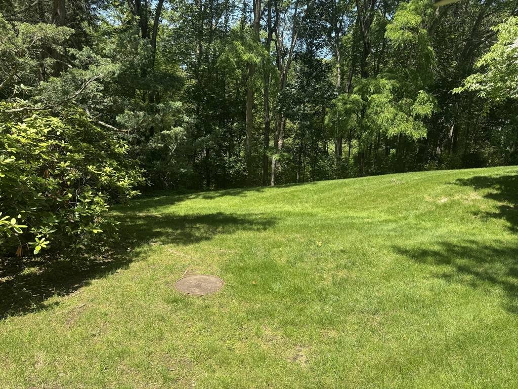 Wayland, MA 01778,21 Steepletree Ln #21