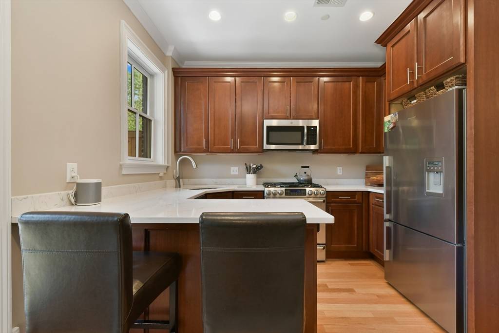 Boston, MA 02118,209 W Springfield St #2