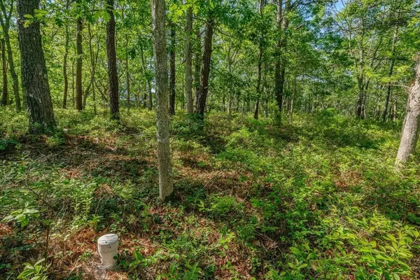 Wellfleet, MA 02667,240 Gross Hill Rd