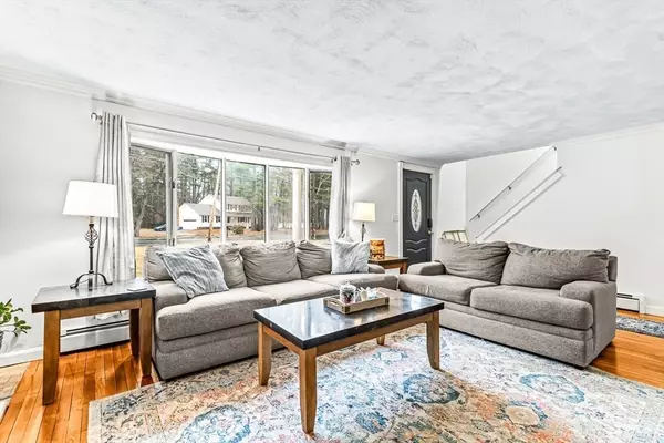 Westford, MA 01886,41 Plain Rd