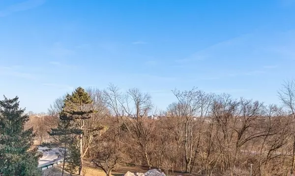 Watertown, MA 02472,151 Coolidge Ave #415