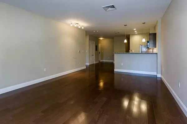 Boston, MA 02127,11 West Broadway #505