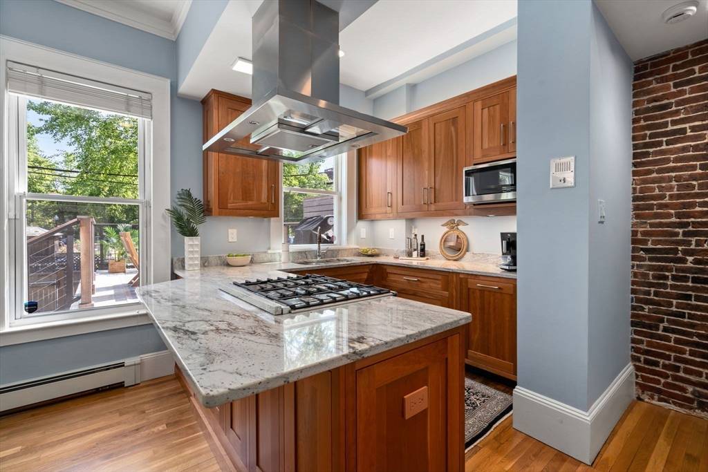Boston, MA 02118,203 W. Springfield St #A