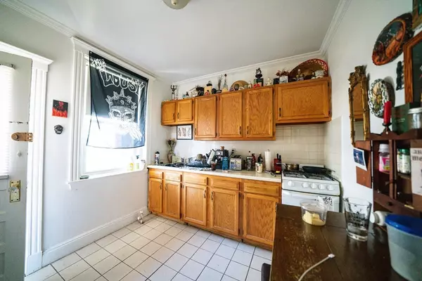 Boston, MA 02135,58 Selkirk #14