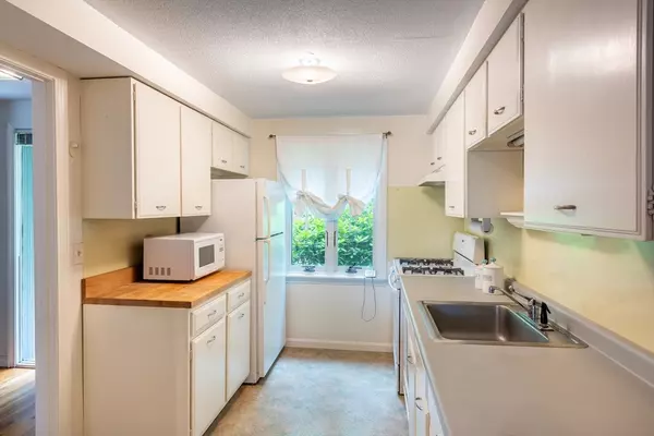 Amherst, MA 01002,6 Webster Ct #6