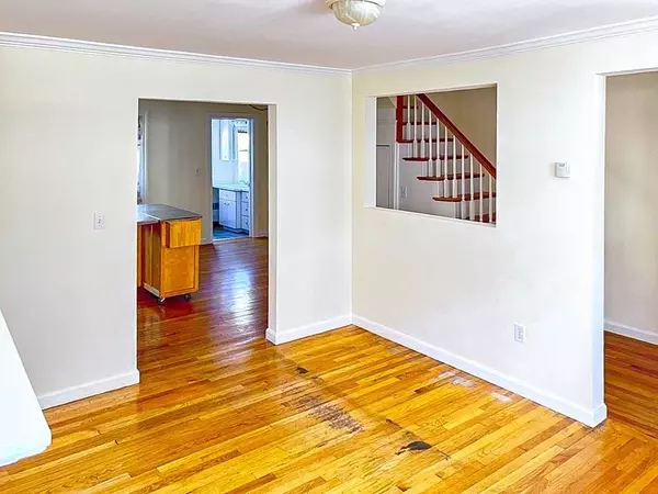 Boston, MA 02128,244 Everett St.