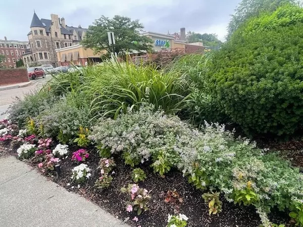 1731 Beacon #1110, Brookline, MA 02445