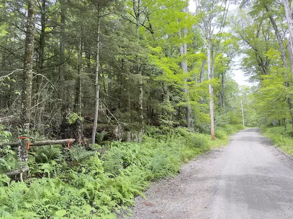 Ashfield, MA 01330,0 John Ford Road