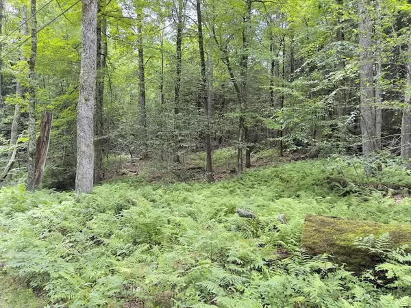Ashfield, MA 01330,0 John Ford Road