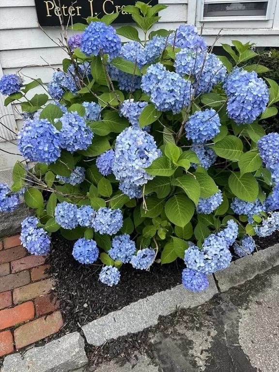 Sudbury, MA 01776,345 Boston Post Rd #C