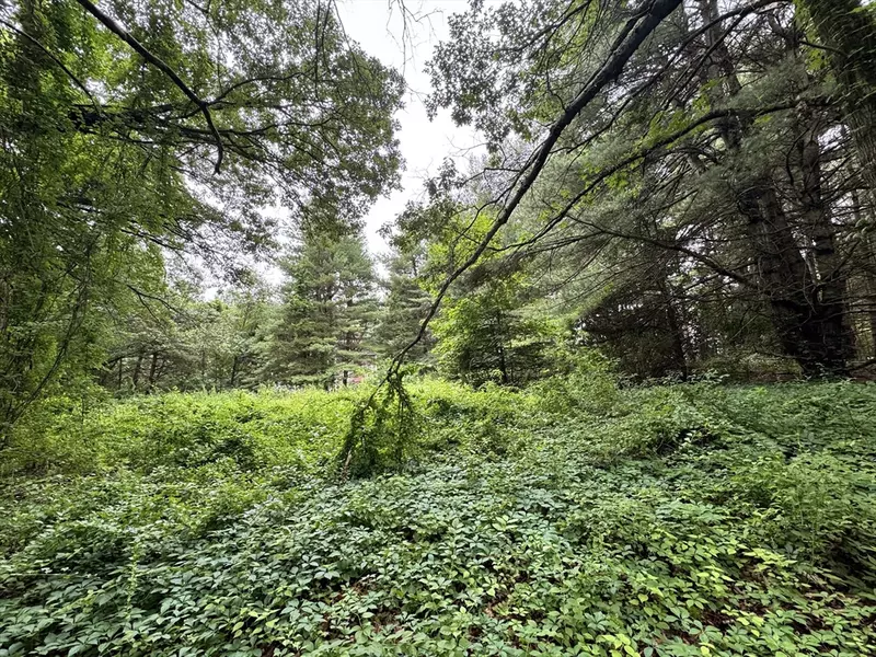 22 Haggetts Pond Rd, Andover, MA 01810