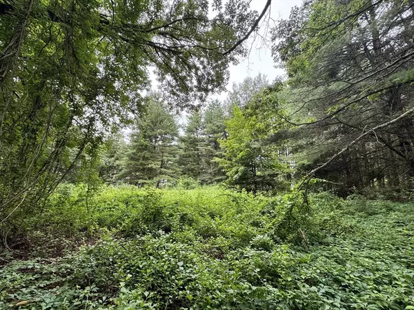 Andover, MA 01810,22 Haggetts Pond Rd