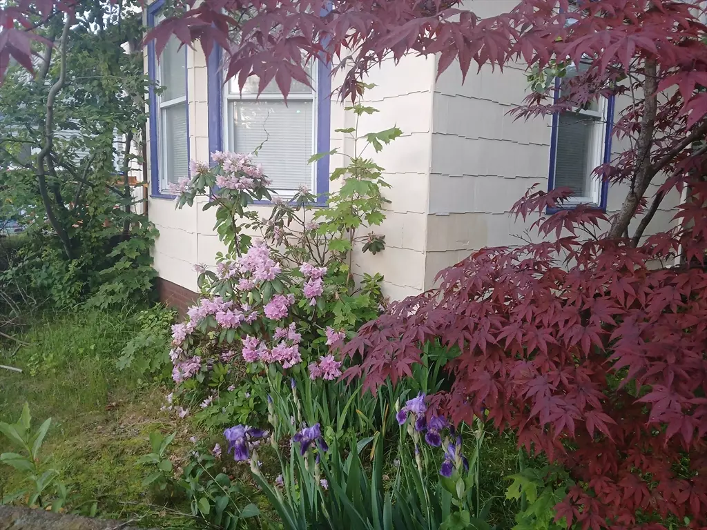 Holyoke, MA 01040,146 Beech St