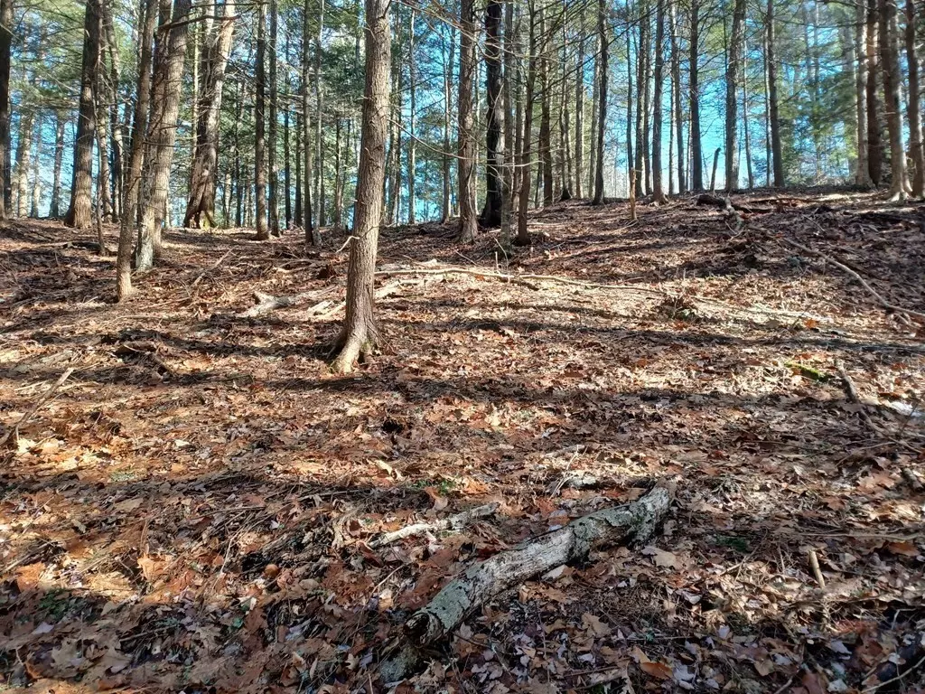 Westhampton, MA 01027,296 Northwest Road