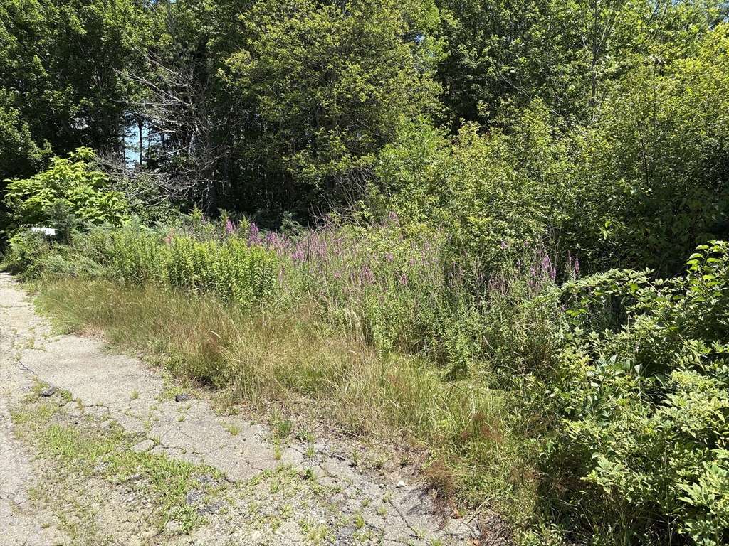 Holbrook, MA 02343,360 Plymouth St