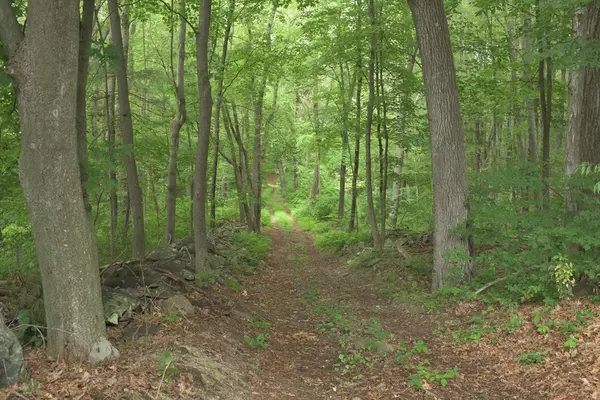 Millbury, MA 01527,0 Auburn Rd