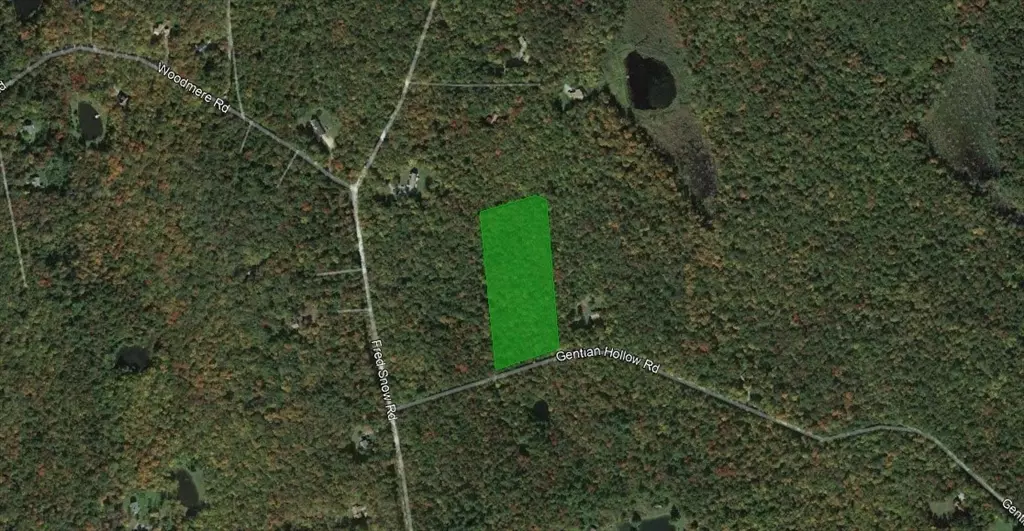 Becket, MA 01223,0 Gentian Holw