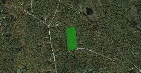 0 Gentian Holw, Becket, MA 01223