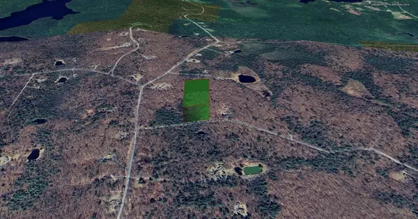 Becket, MA 01223,0 Gentian Holw