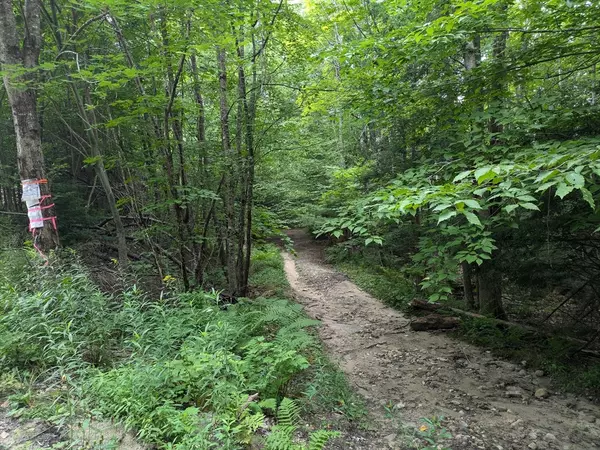 Sutton, NH 03221,Lot Eaton Grange Rd