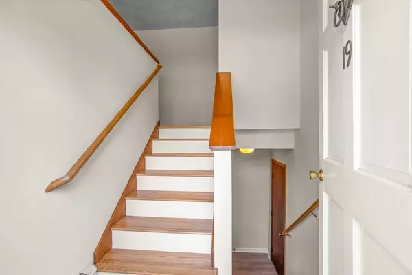 Ayer, MA 01432,19 Douglas Dr