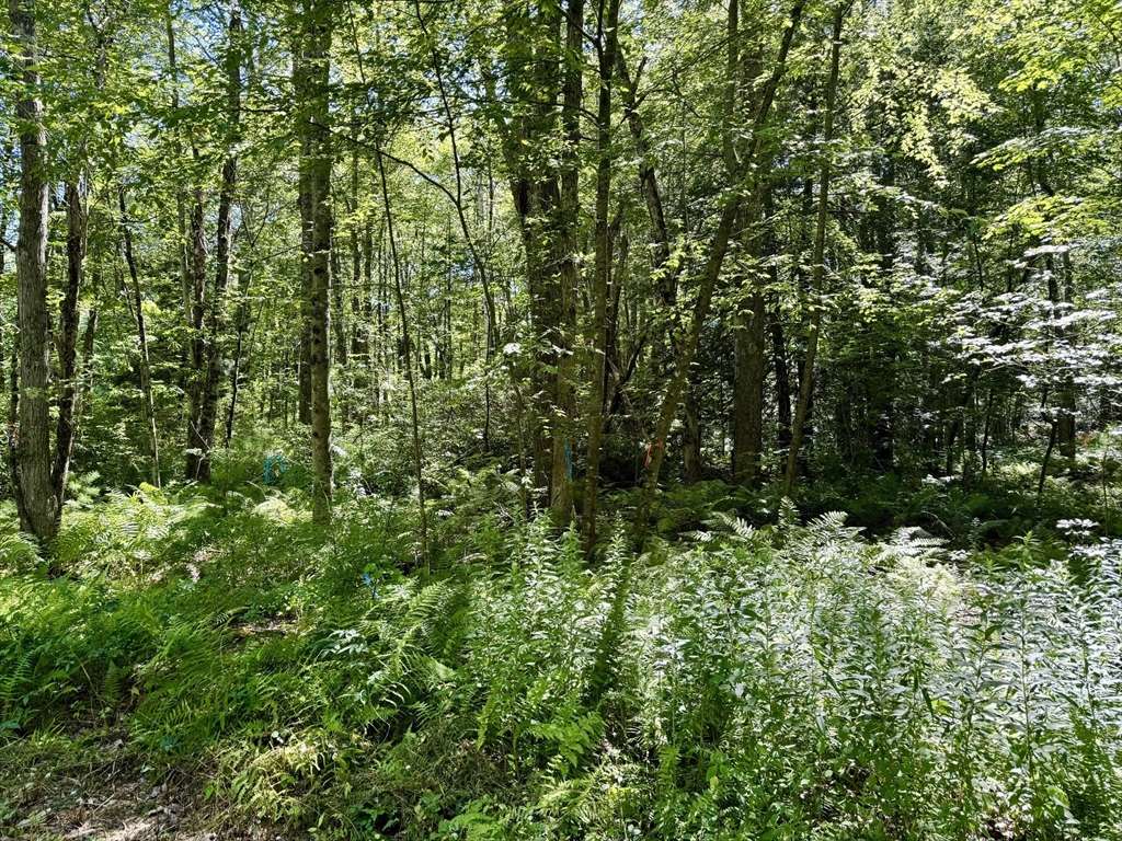 Spencer, MA 01562,Lot 2 Greenville Street