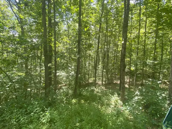 Hardwick, MA 01037,Lot 7 Delargy Rd