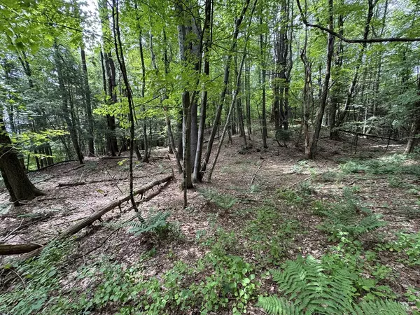 Whately, MA 01093,0 North Street