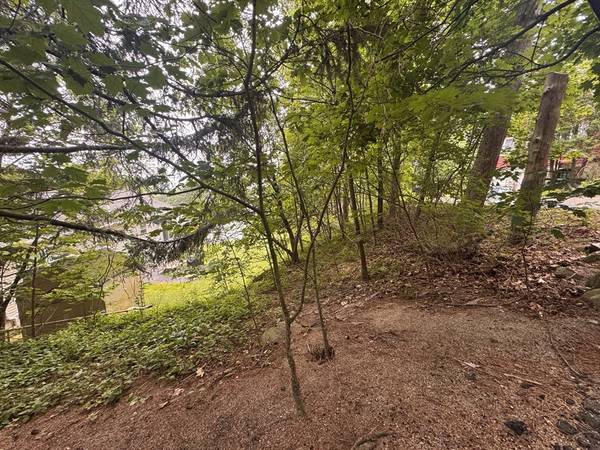 Worcester, MA 01605,3 Selden St