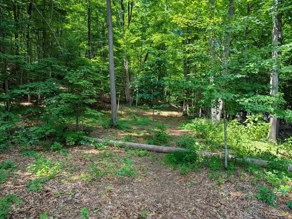 Russell, MA 01071,81 Pomeroy Ter
