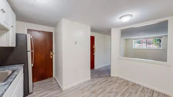 Boston, MA 02126,770 Cummins Hwy #1