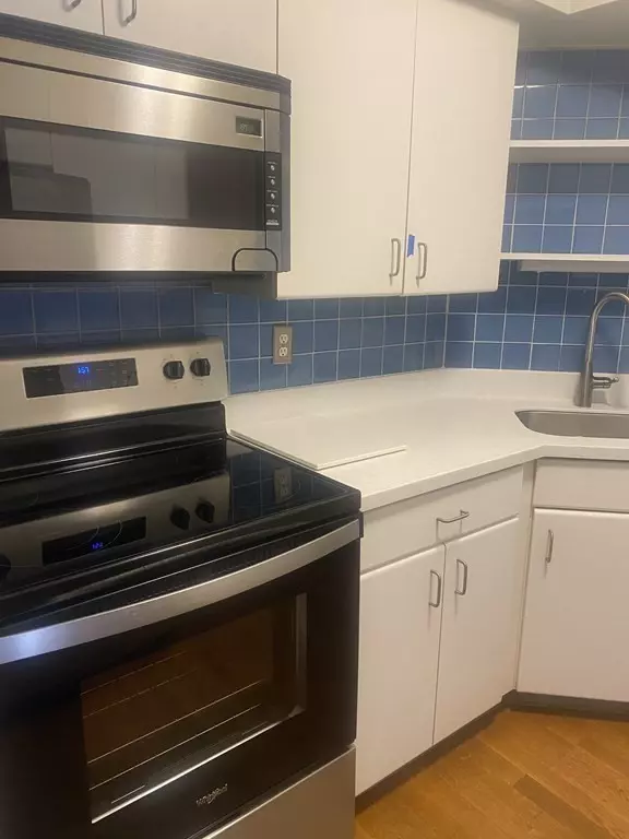 Brookline, MA 02446,125 Pleasant Street #401