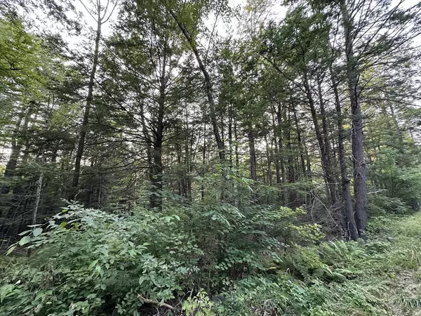 Cummington, MA 01026,0 Shaw Road