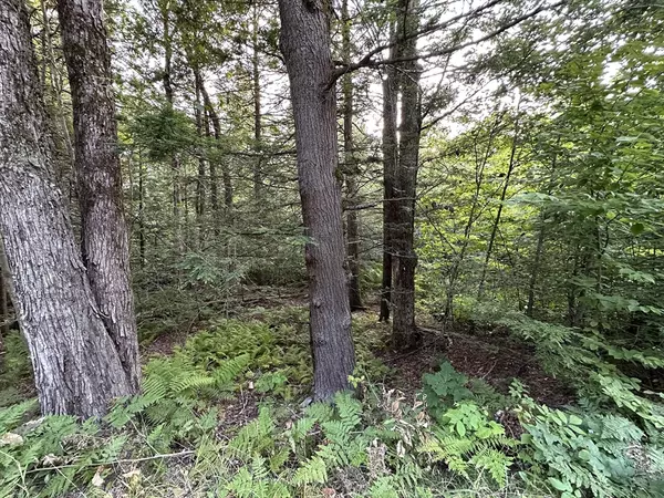 Cummington, MA 01026,0 Shaw Road