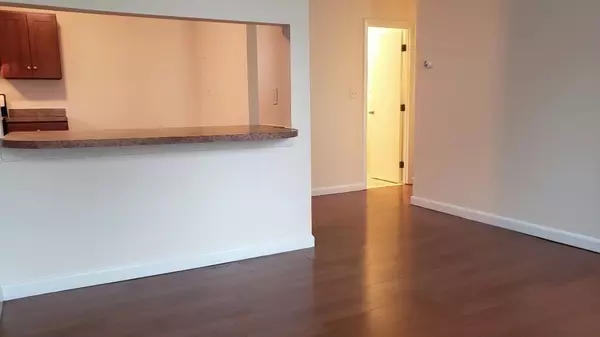 Cambridge, MA 02139,65 Brookline Street #3