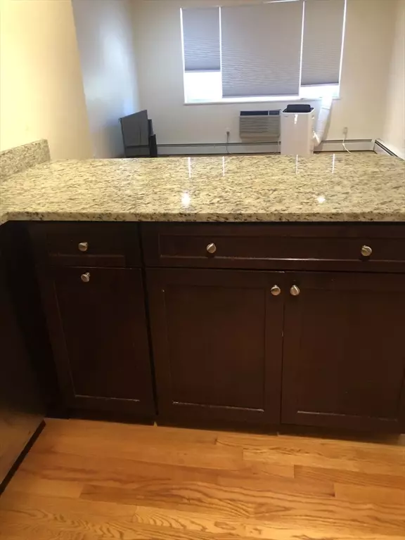 Waltham, MA 02452,1105 - 4 Lexington Street #9