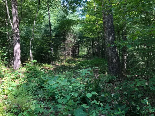 Belchertown, MA 01007,Lot B-2 North Gulf Rd