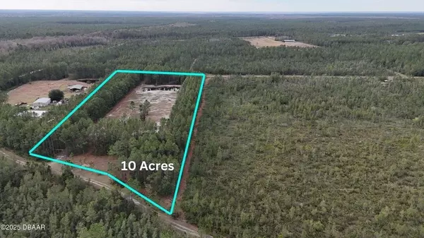 Pierson, FL 32180,810 Wild Curr