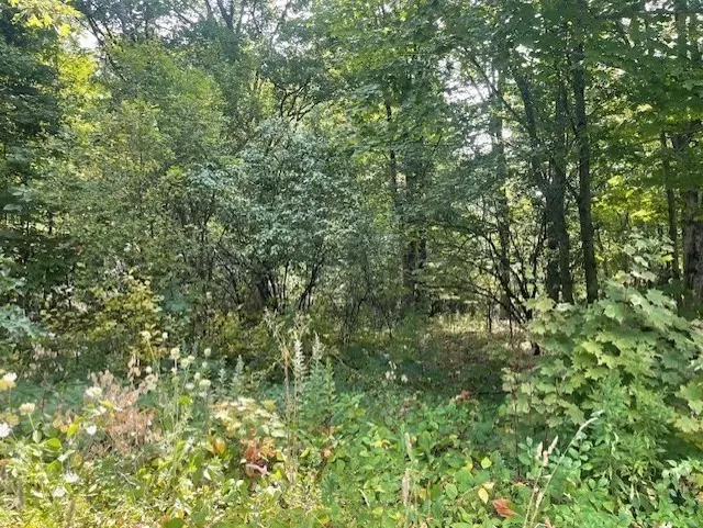 Shirley, MA 01464,43 Longley Rd