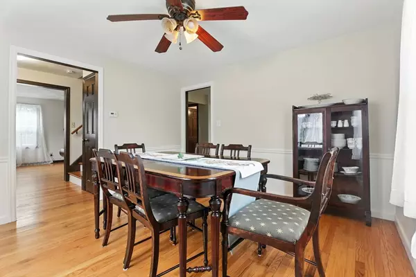 Springfield, MA 01118,384 Abbott St