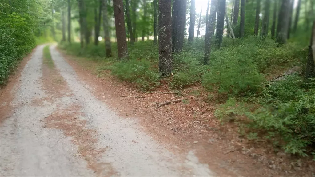 Marion, MA 02738,0 Cross Neck