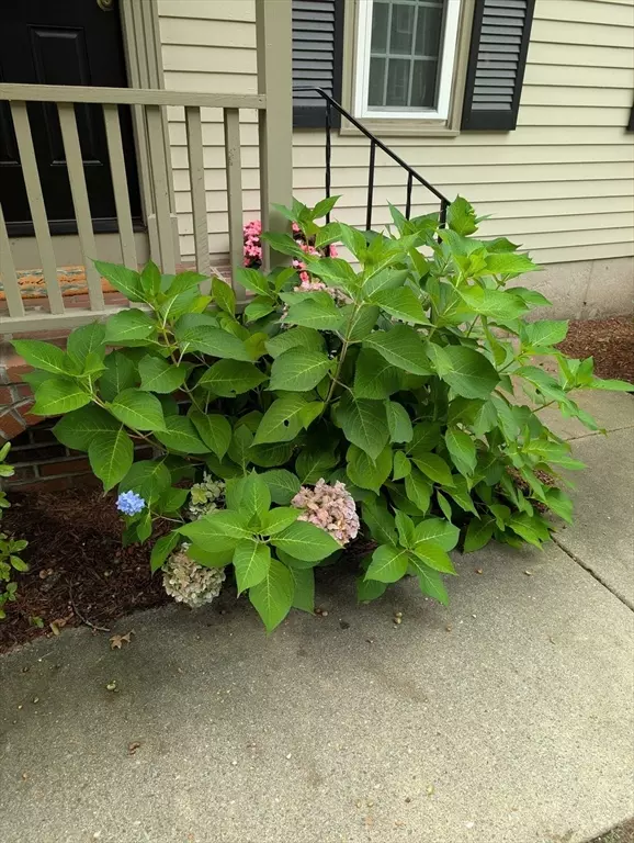 Chelmsford, MA 01863,525 Wellman Ave. #525