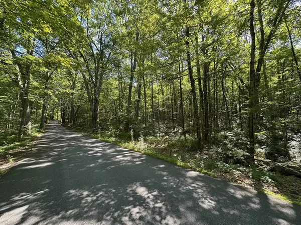 Petersham, MA 01366,0 Nichewaug Rd