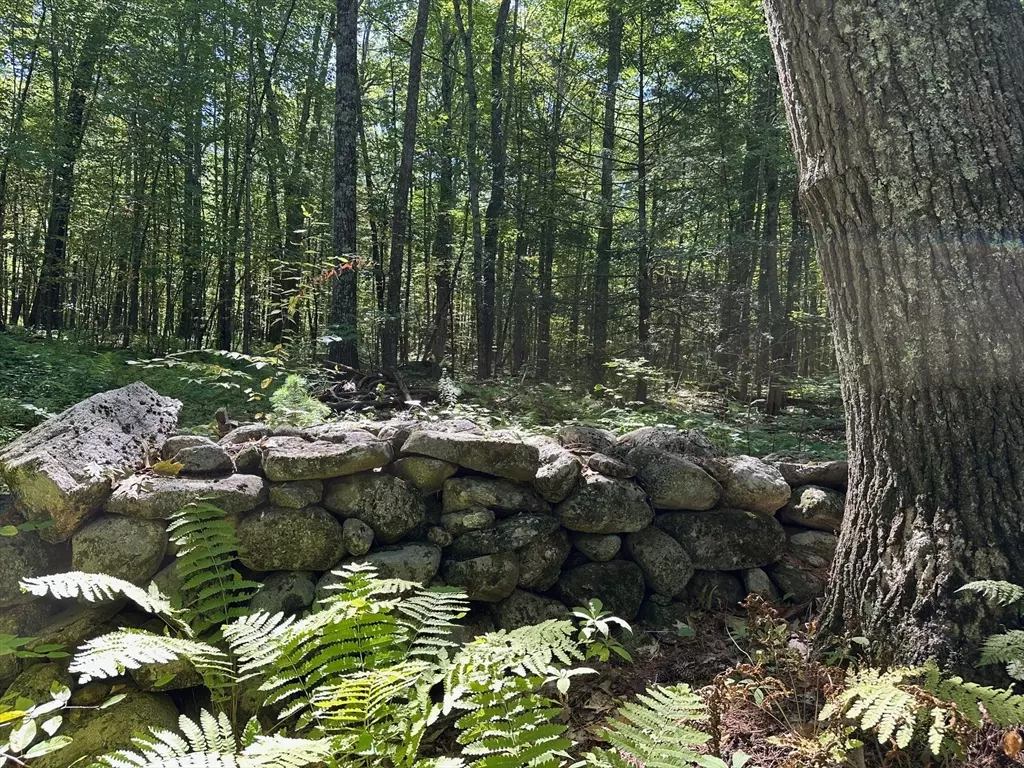 Petersham, MA 01366,0 Nichewaug Rd